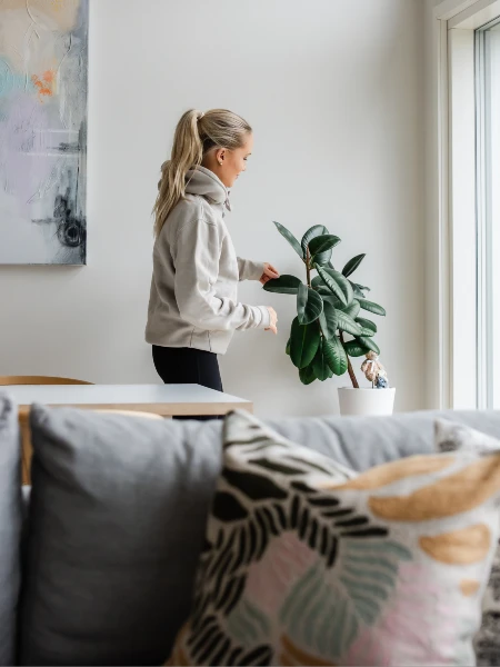 Zenni siivouspalvelut